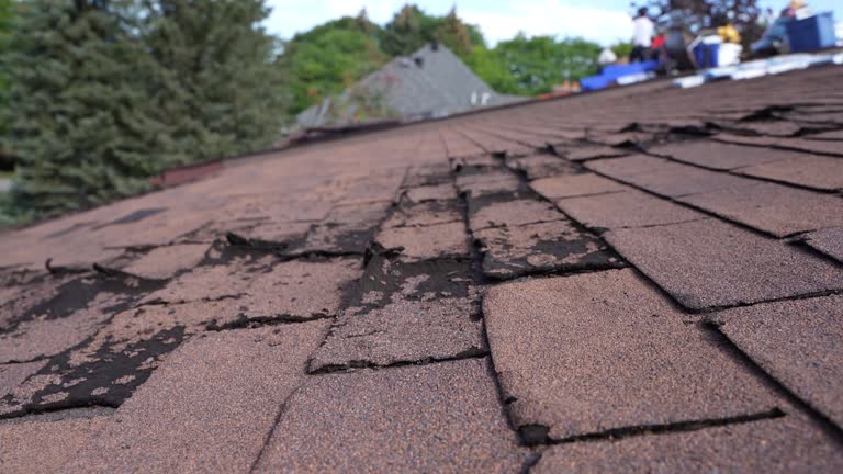 Best Roof Waterproofing  in Wauseon, OH