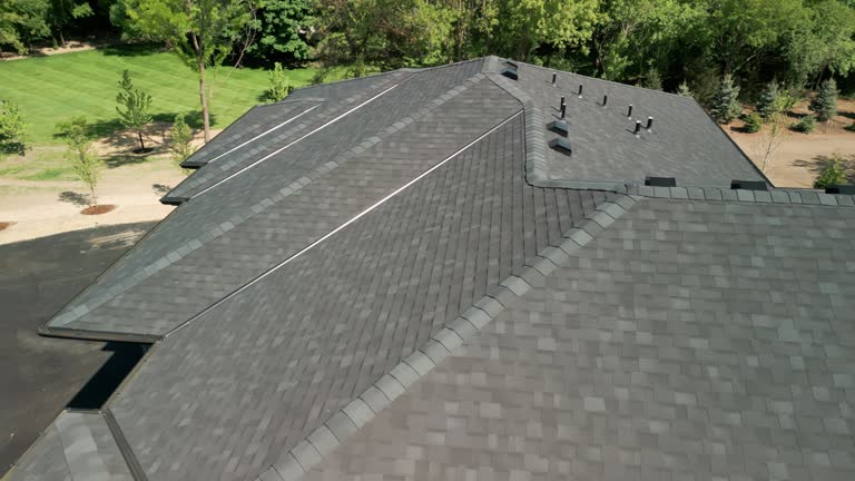 Best Roof Moss and Algae Removal  in Wauseon, OH