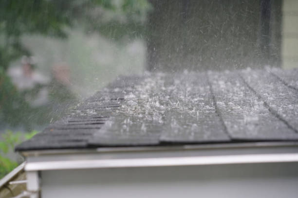Best Gutter Installation and Repair  in Wauseon, OH