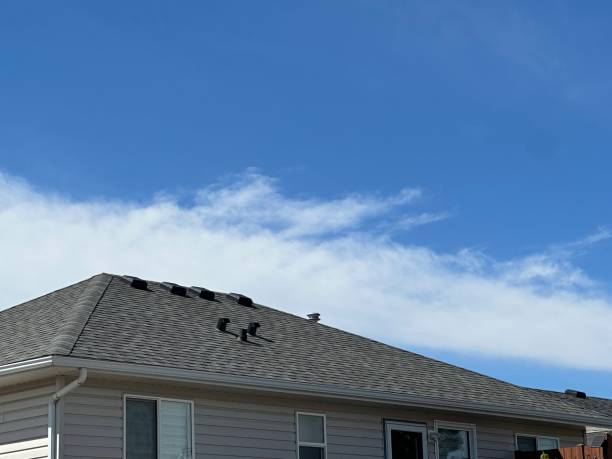 Best Chimney Flashing Repair  in Wauseon, OH